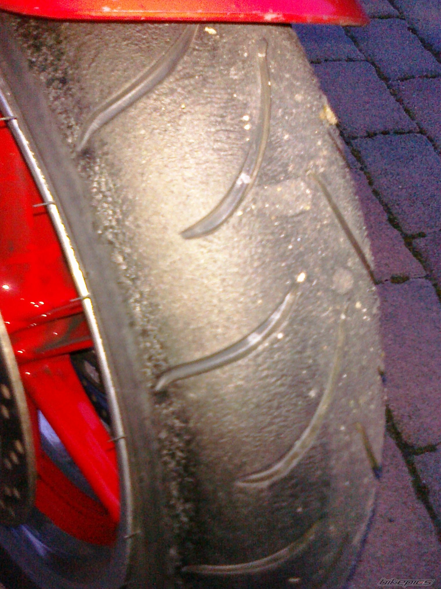 1995 HONDA CBR 900 | Picture 2360933 motorcycle photo