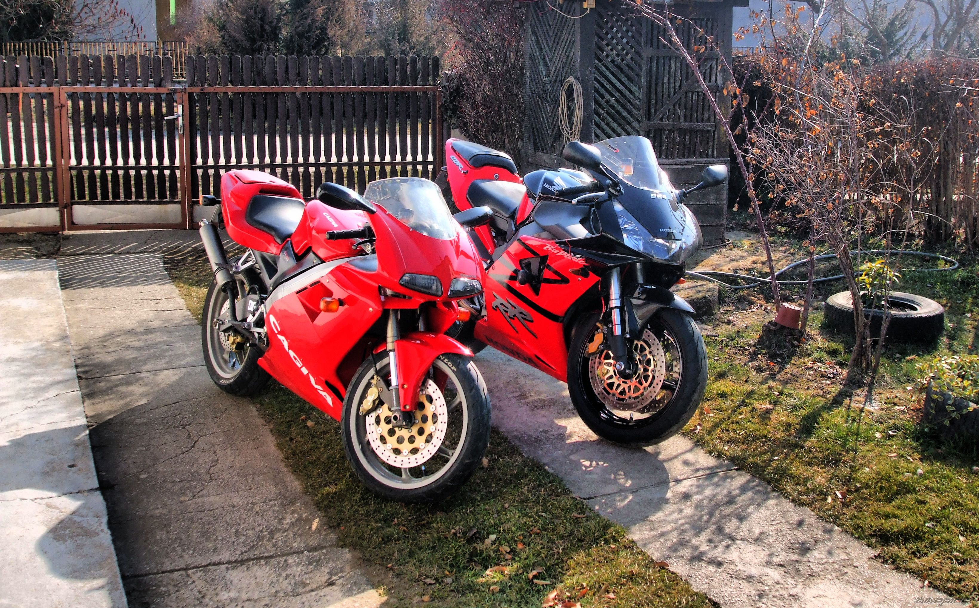2003 HONDA CBR 954RR FIREBLADE | Picture 2362044 motorcycle photo