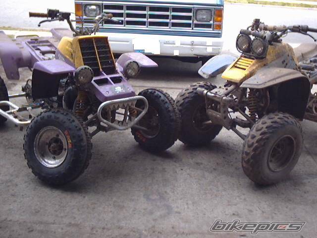 1995 YAMAHA BANSHEE | Picture 23622 motorcycle photo