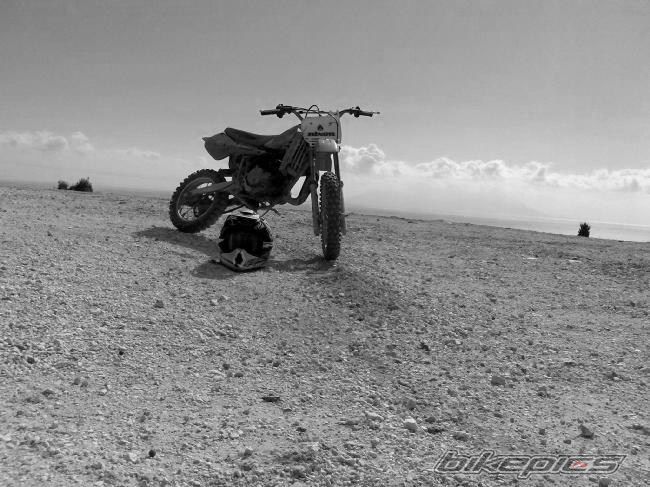 1998 KAWASAKI KX 60 | Picture 2362846 motorcycle photo
