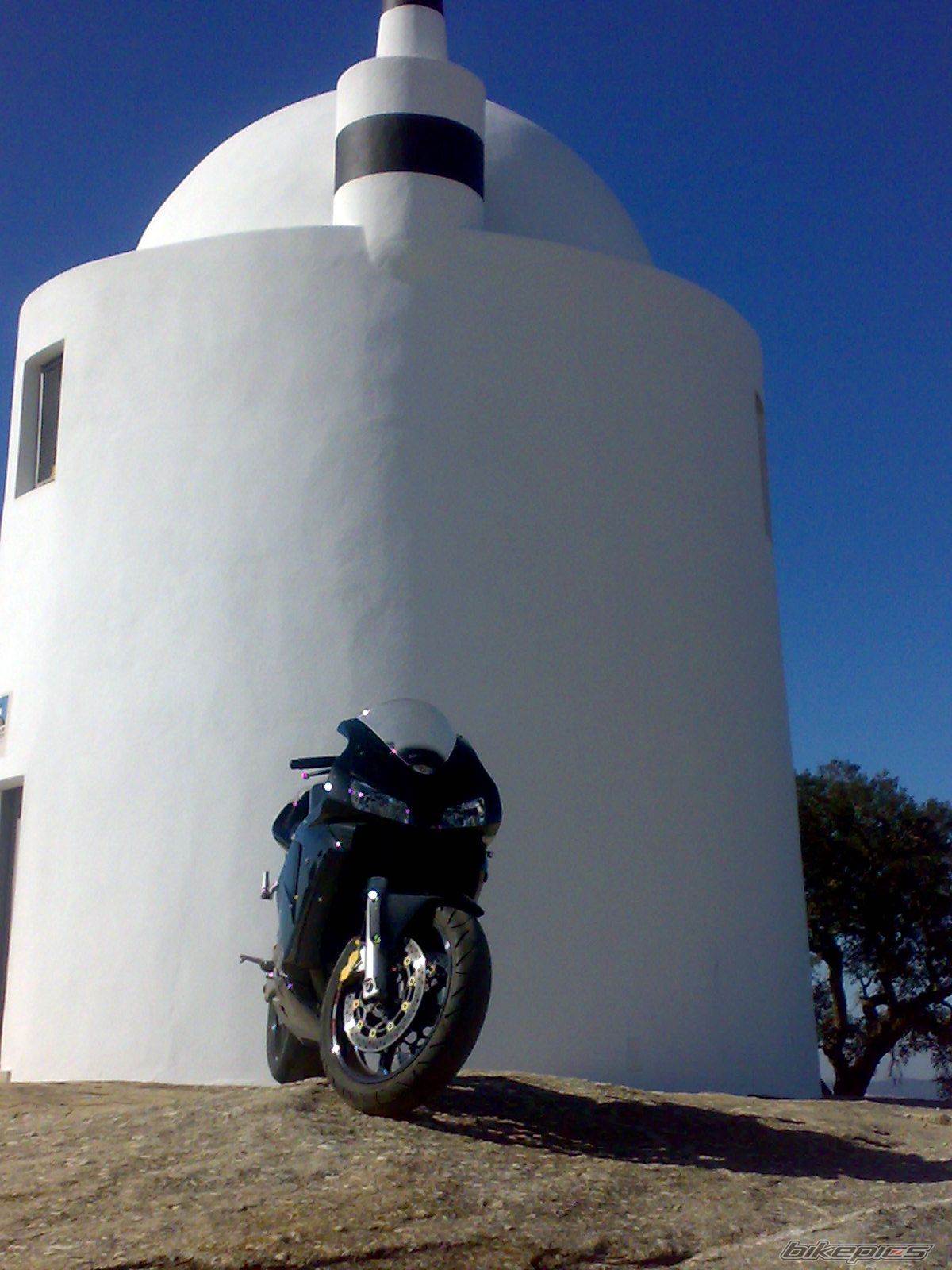 2003 HONDA CBR 600 RR | Picture 2363207 motorcycle photo