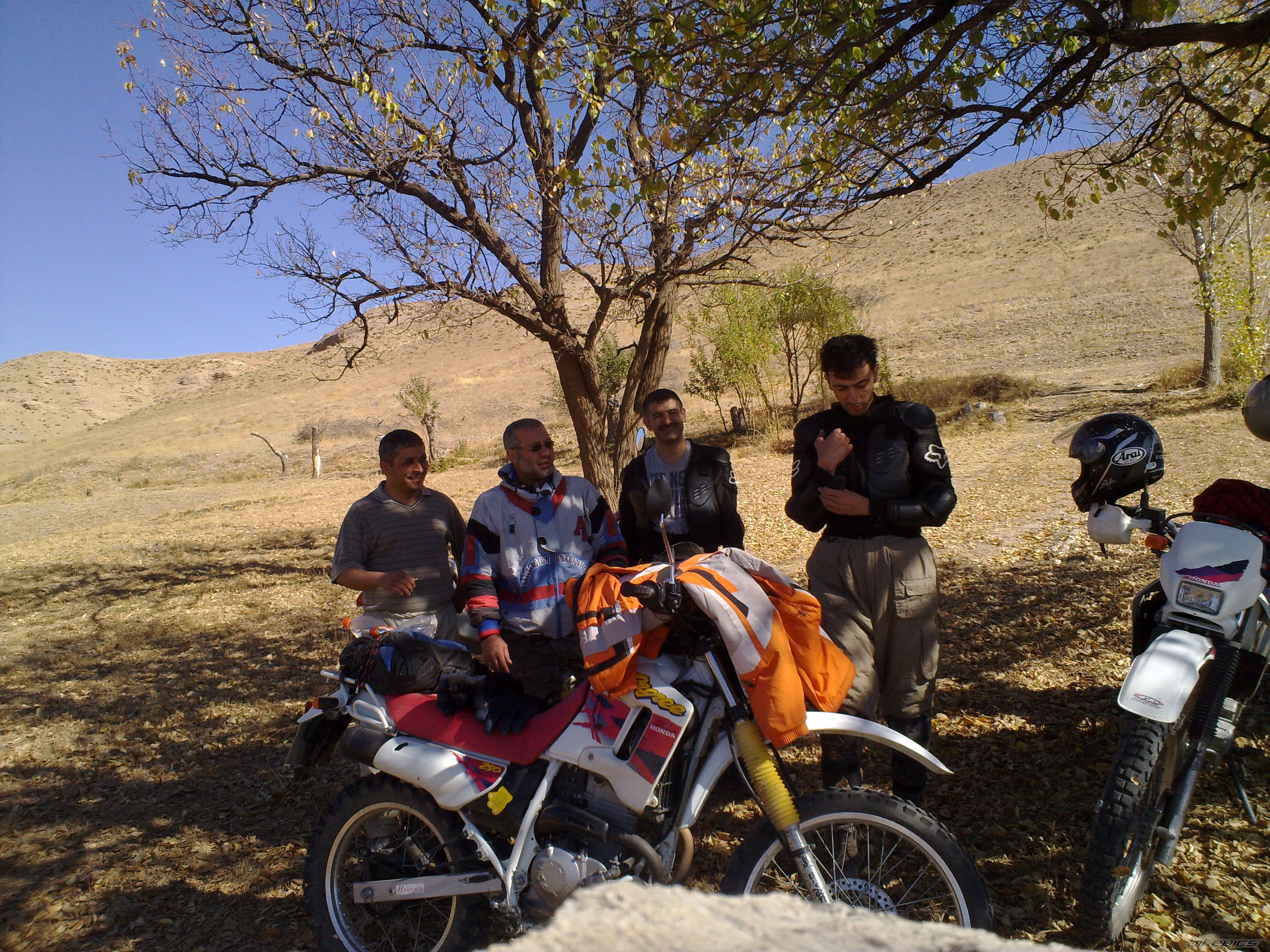 2008 ADLY MOTO 2010 | Picture 2363780 motorcycle photo