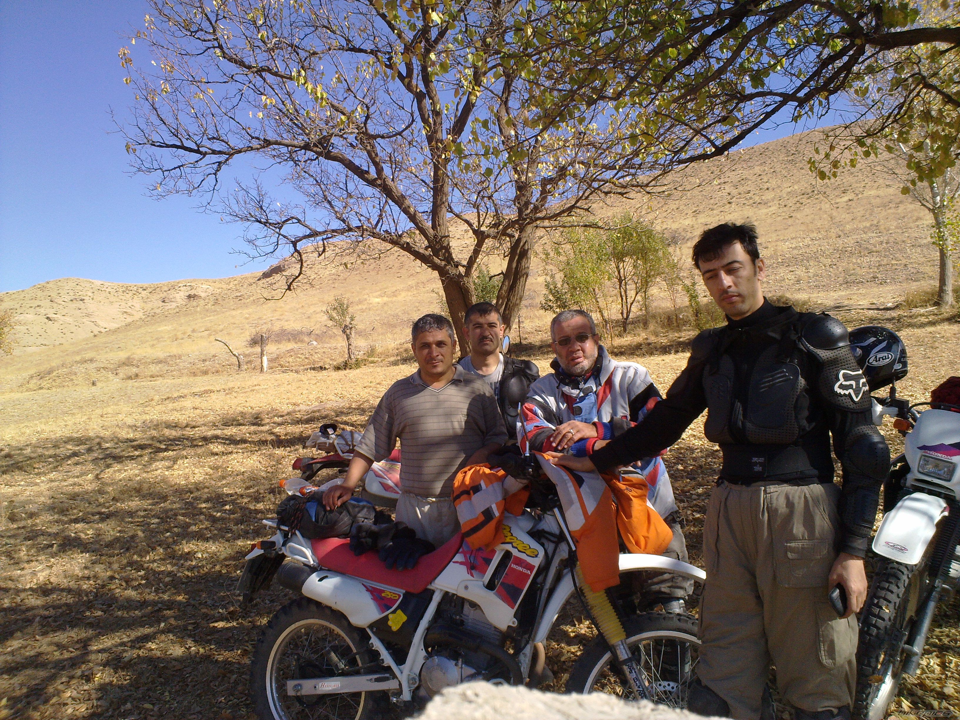 2008 ADLY MOTO 2010 | Picture 2363787 motorcycle photo