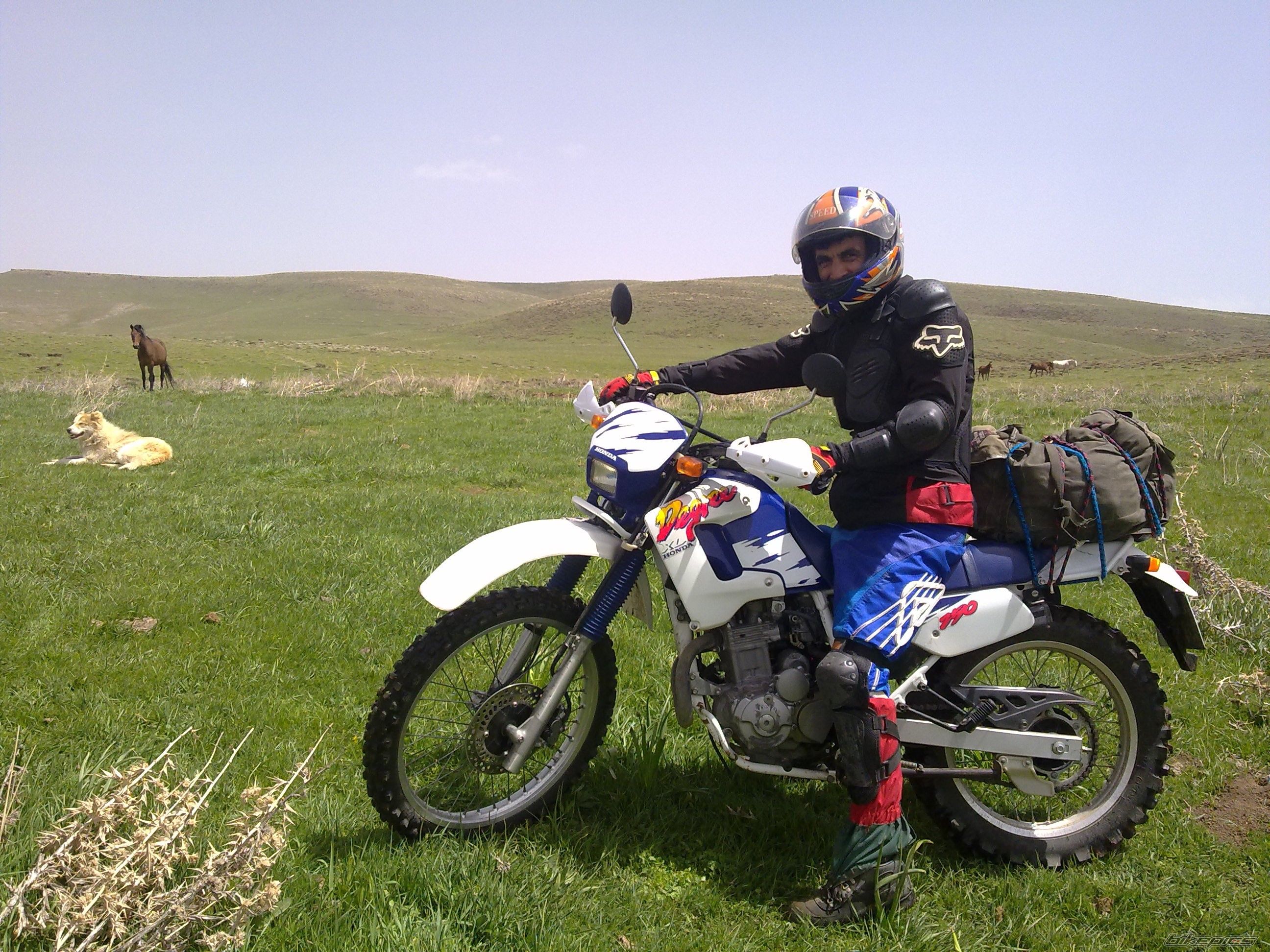 2008 ADLY MOTO 2010 | Picture 2363805 motorcycle photo