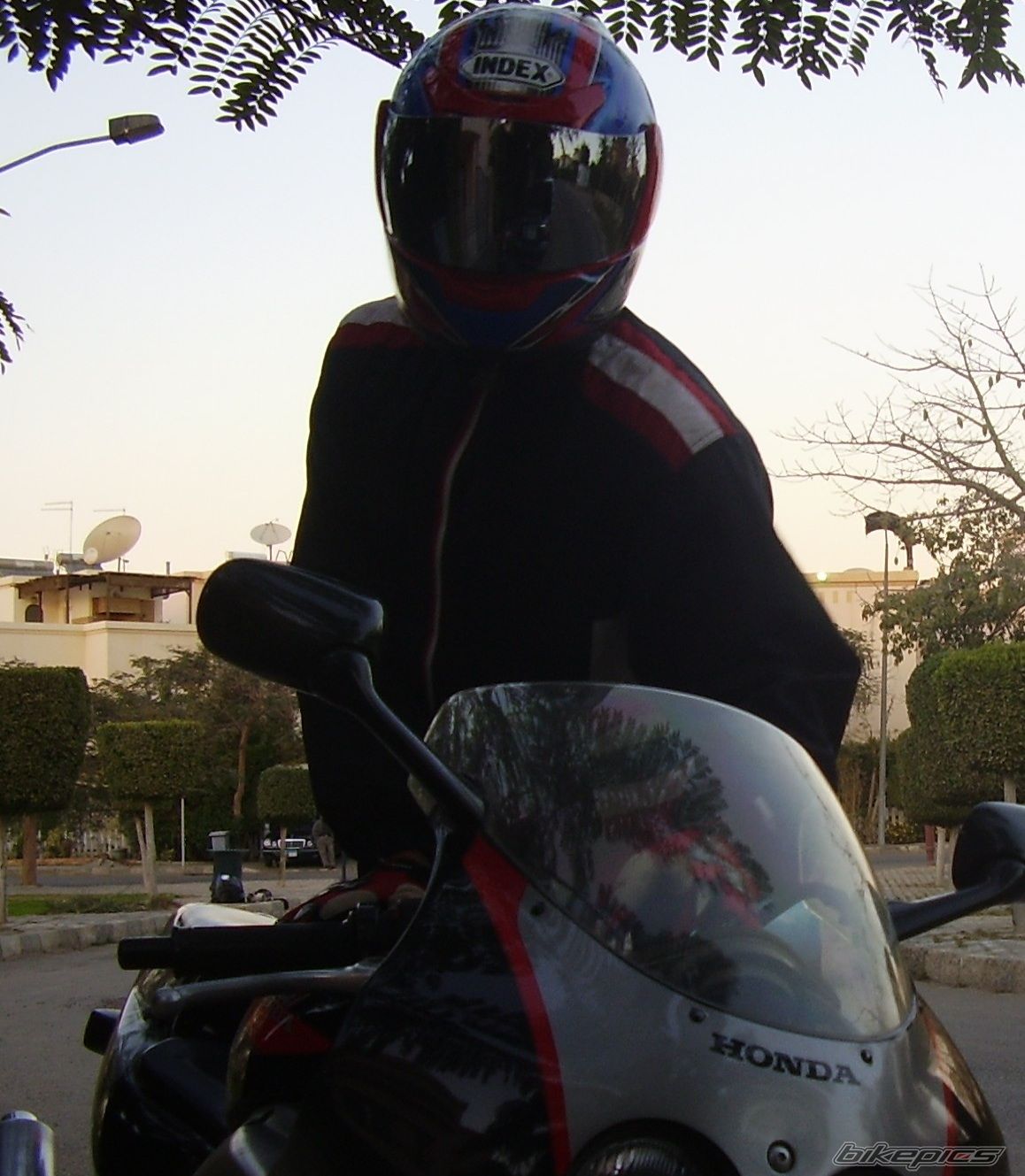 1998 HONDA CBR 250 | Picture 2363849 motorcycle photo