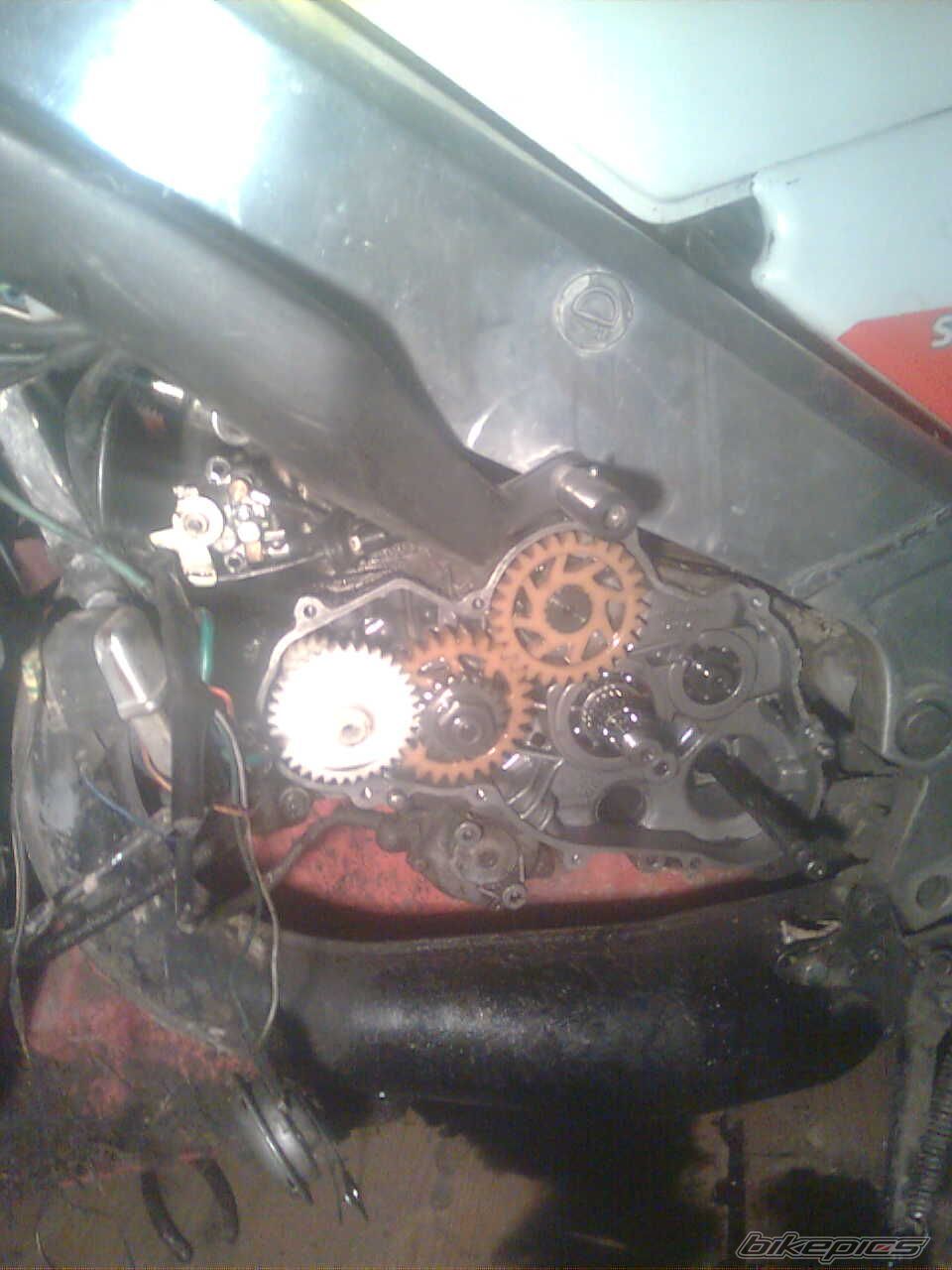 1993 APRILIA AF1 FUTURA 125 | Picture 2364503 motorcycle photo