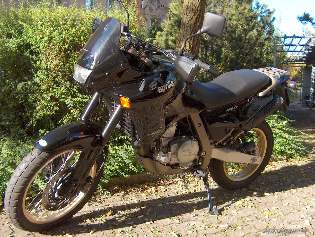1995 APRILIA PEGASO 650 | Picture 236453 motorcycle photo