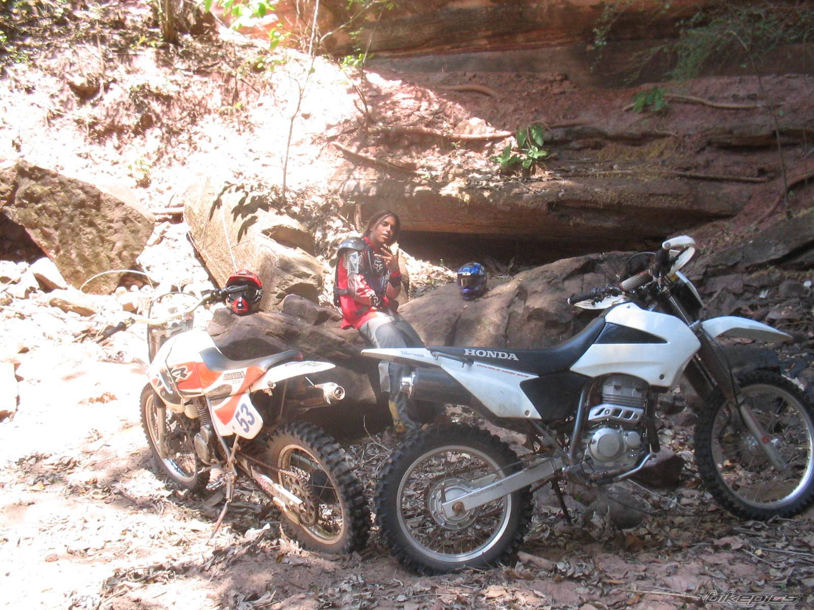 2004 HONDA XR 200 | Picture 236528 motorcycle photo
