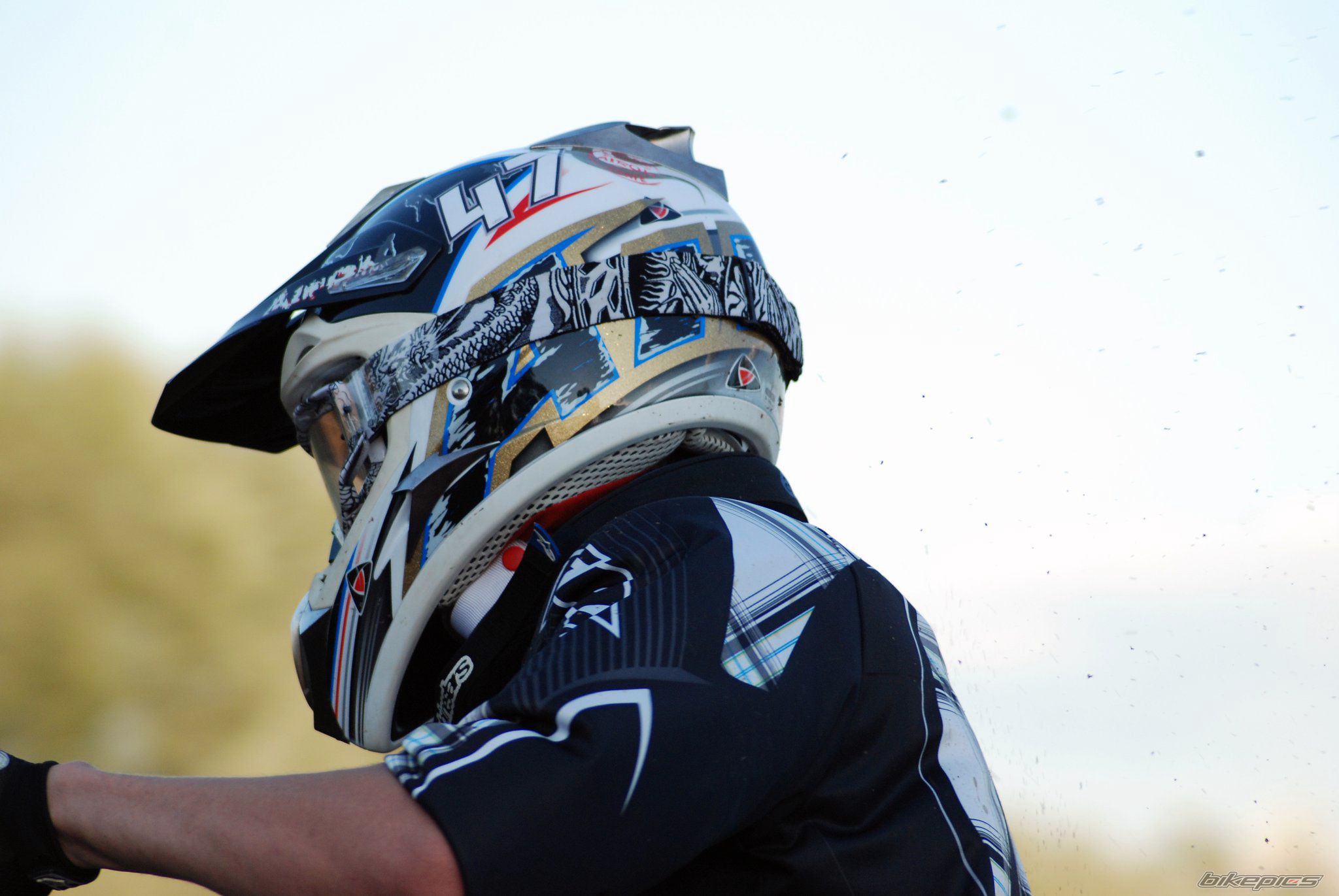 2009 YAMAHA YZ 250F | Picture 2365710 motorcycle photo