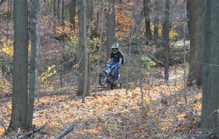 2005 HONDA CRF 50 | Picture 236611 motorcycle photo