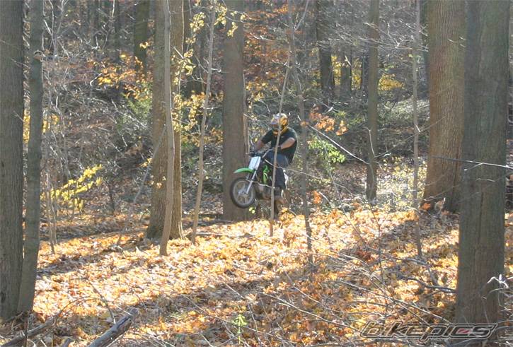 2005 HONDA CRF 50 | Picture 236613 motorcycle photo
