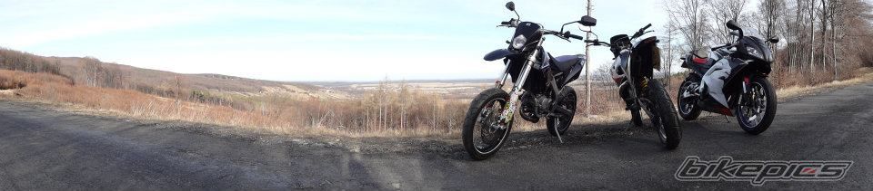 2008 APRILIA RS 125 | Picture 2366153 motorcycle photo