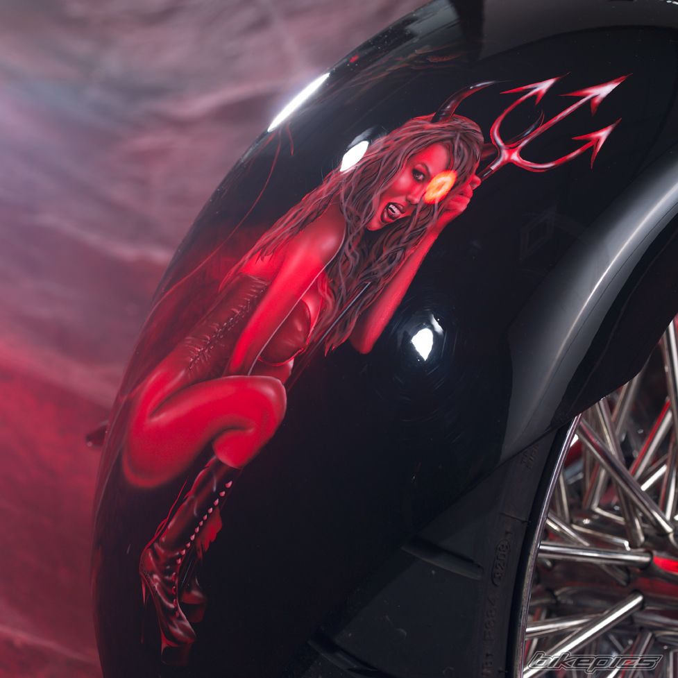 2010 HARLEY DAVIDSON CUSTOM | Picture 2366178 motorcycle photo