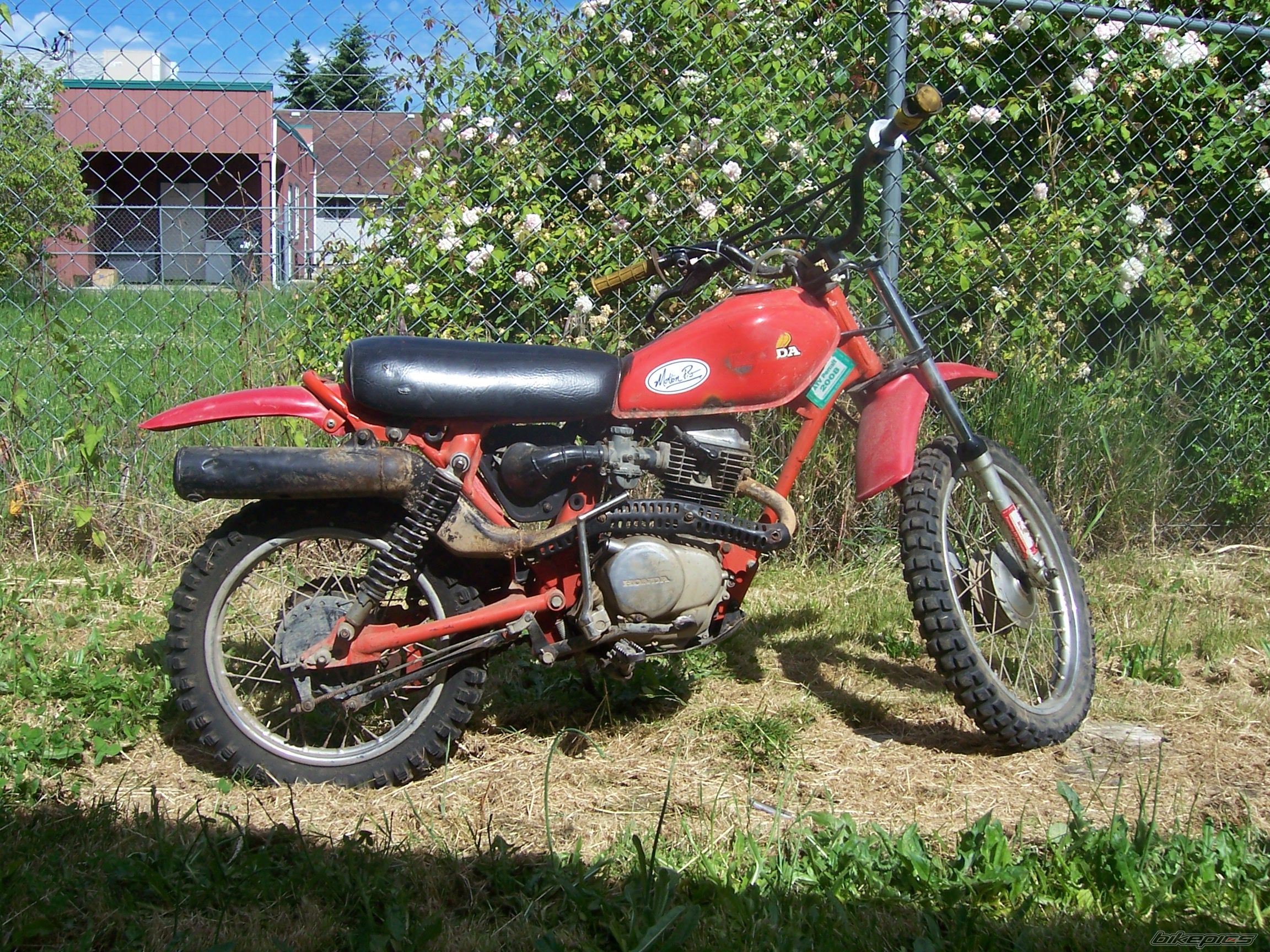 1980 HONDA XR 80 | Picture 2366581 motorcycle photo