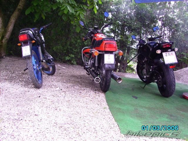 2008 TOMOS BT 50S | Picture 2367685 motorcycle photo