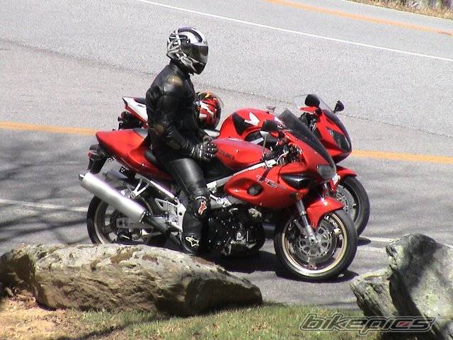 1999 SUZUKI TL1000S | Picture 23680 motorcycle photo