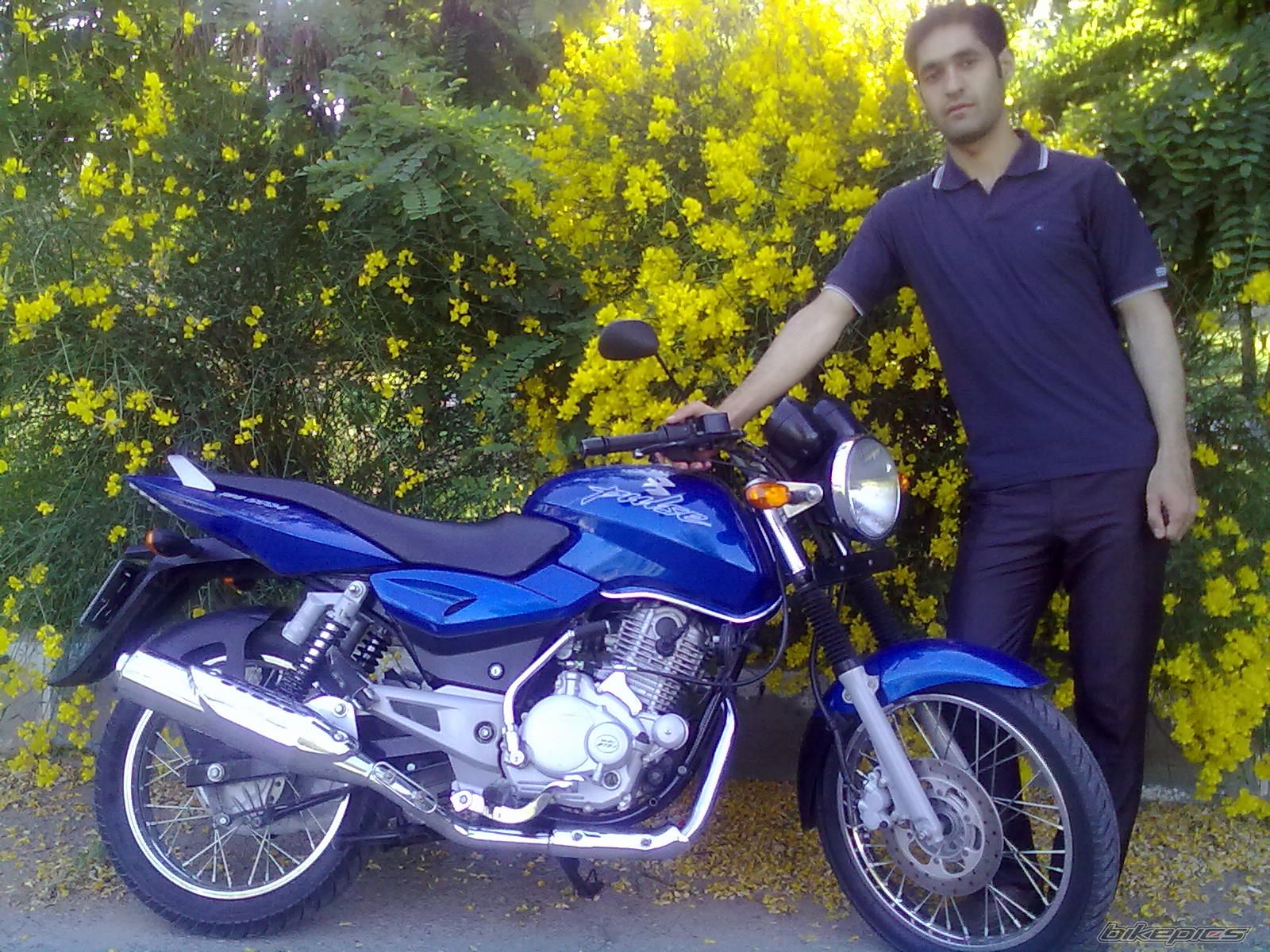 2008 BAJAJ PULSAR 180 | Picture 2368092 motorcycle photo