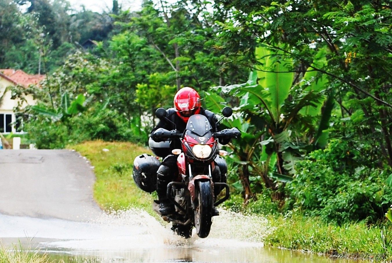 2008 BAJAJ PULSAR 200 | Picture 2368284 motorcycle photo