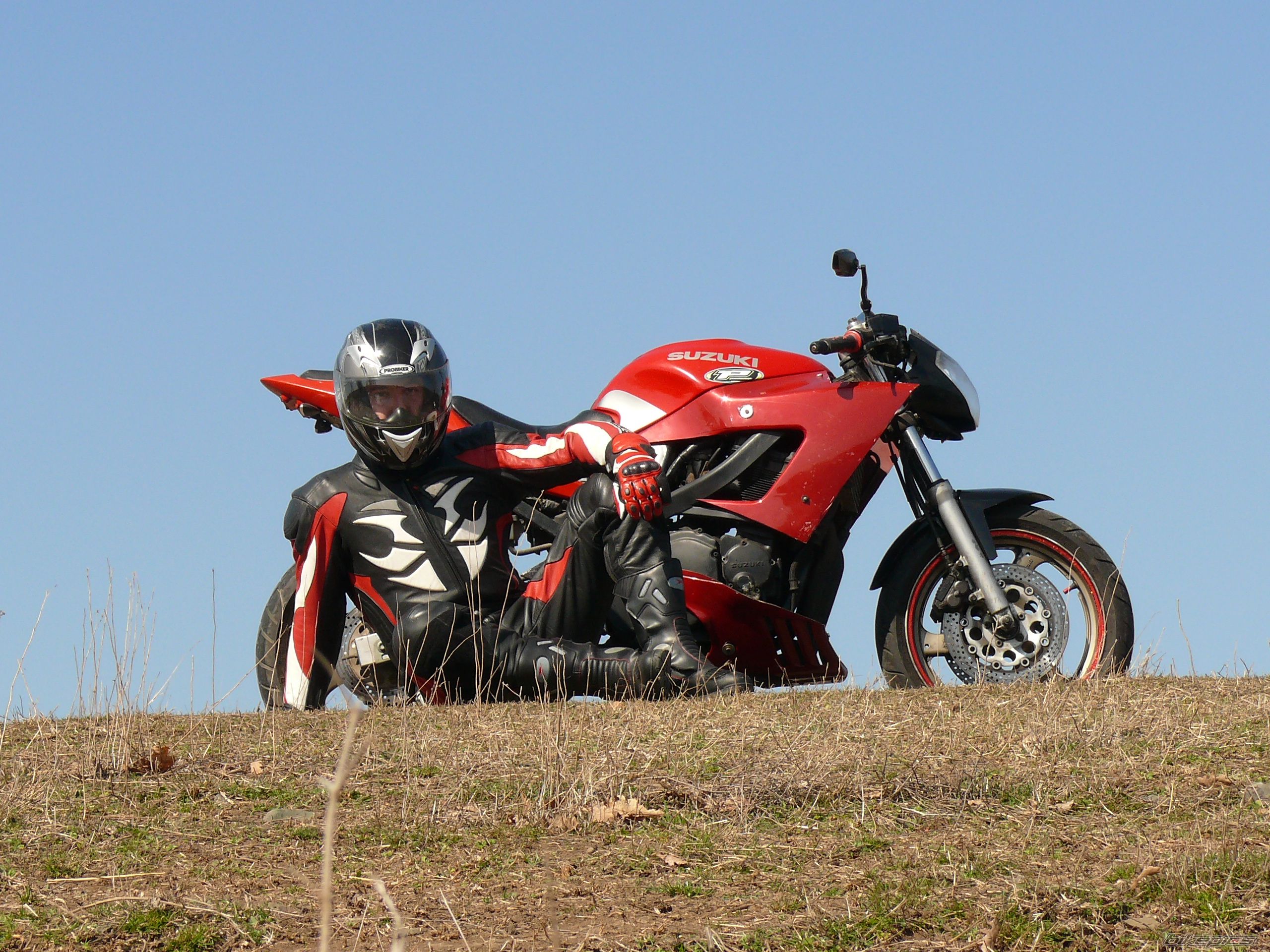 1995 SUZUKI GSX 600 F | Picture 2369134 motorcycle photo