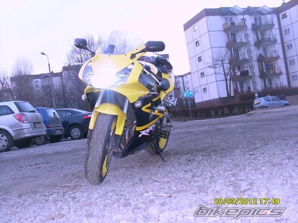 2002 HONDA CBR 954RR FIREBLADE | Picture 2369387 motorcycle photo