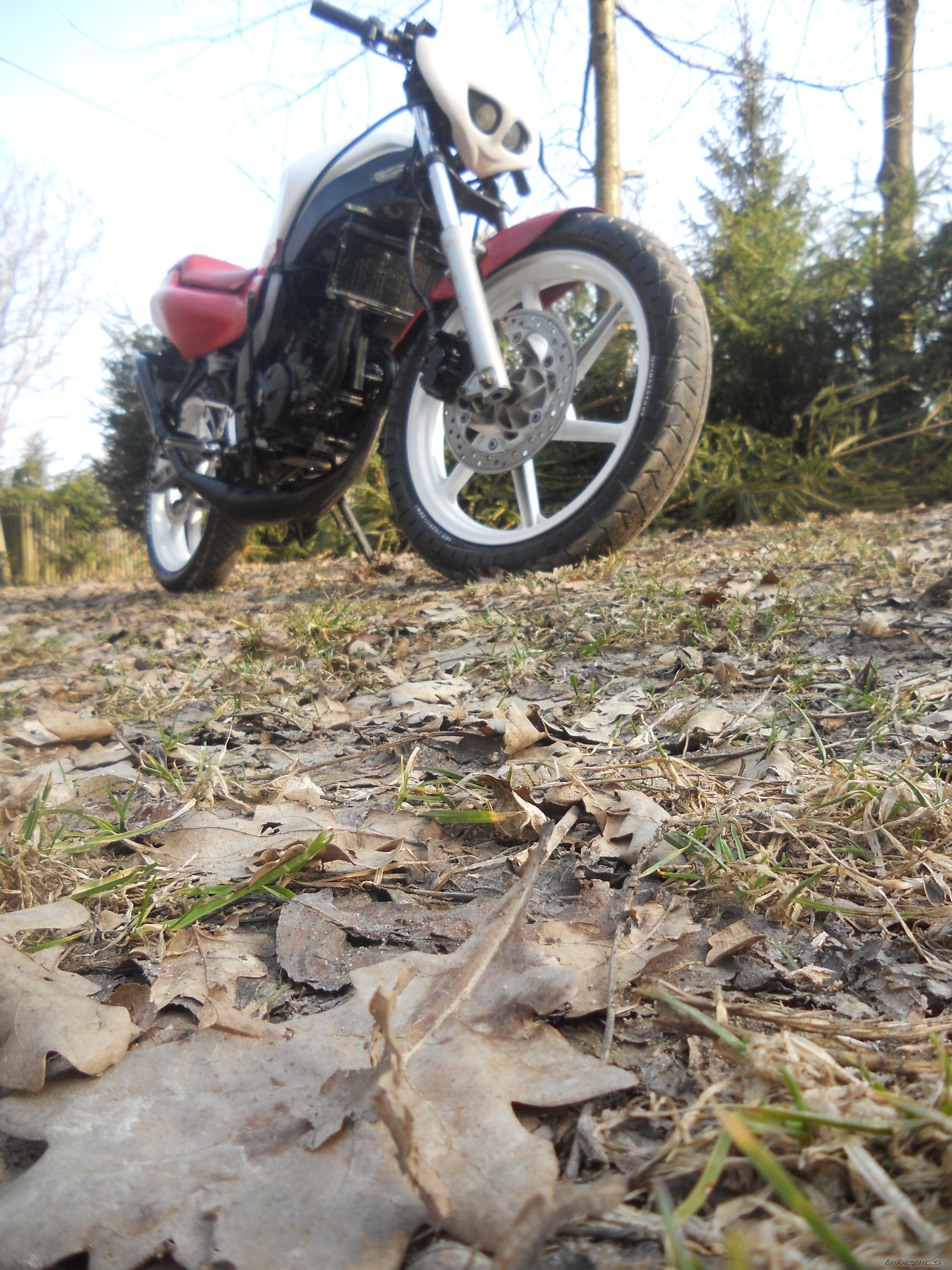 1994 HONDA NS1 80 | Picture 2369858 motorcycle photo