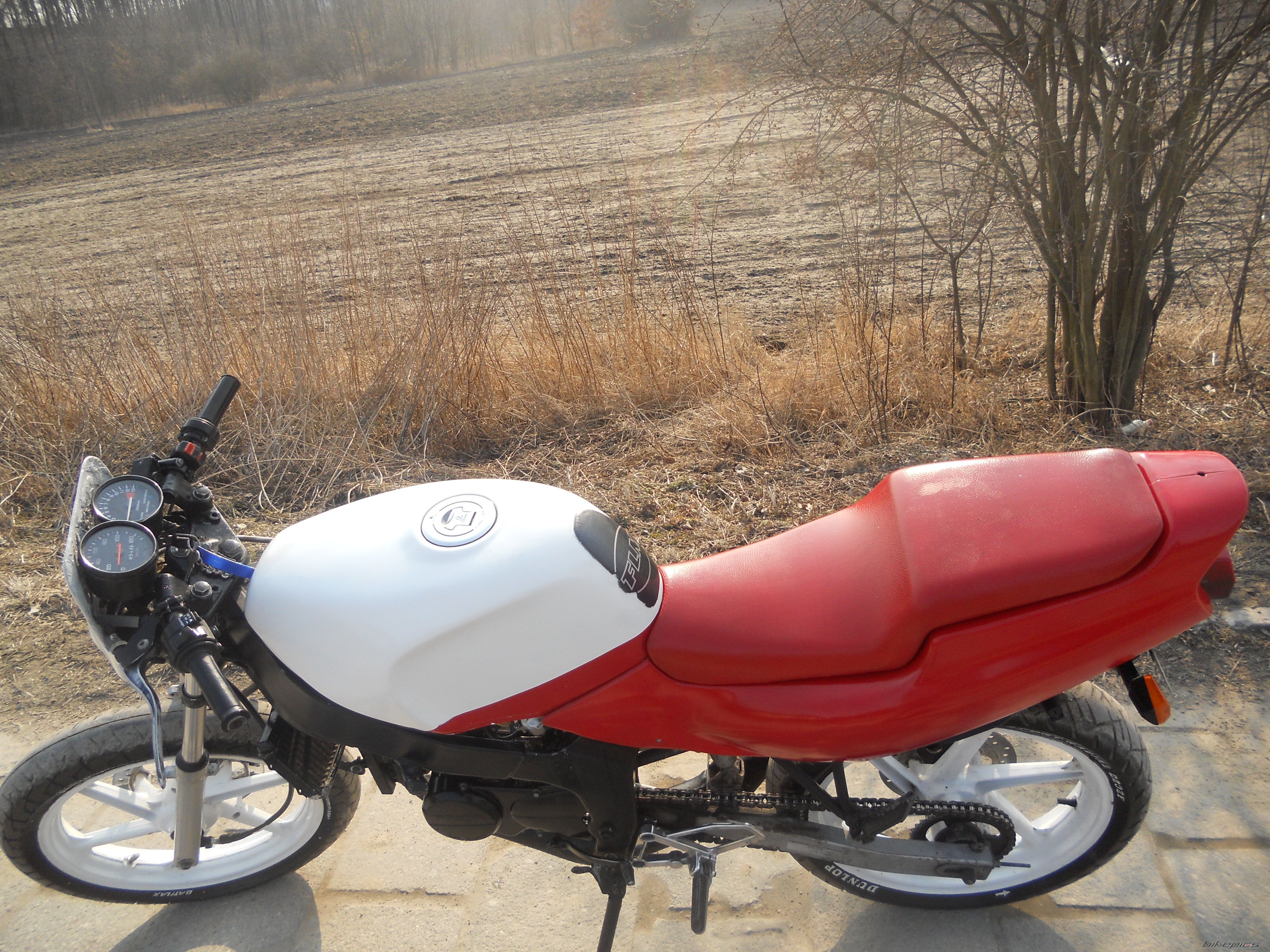1994 HONDA NS1 80 | Picture 2369913 motorcycle photo