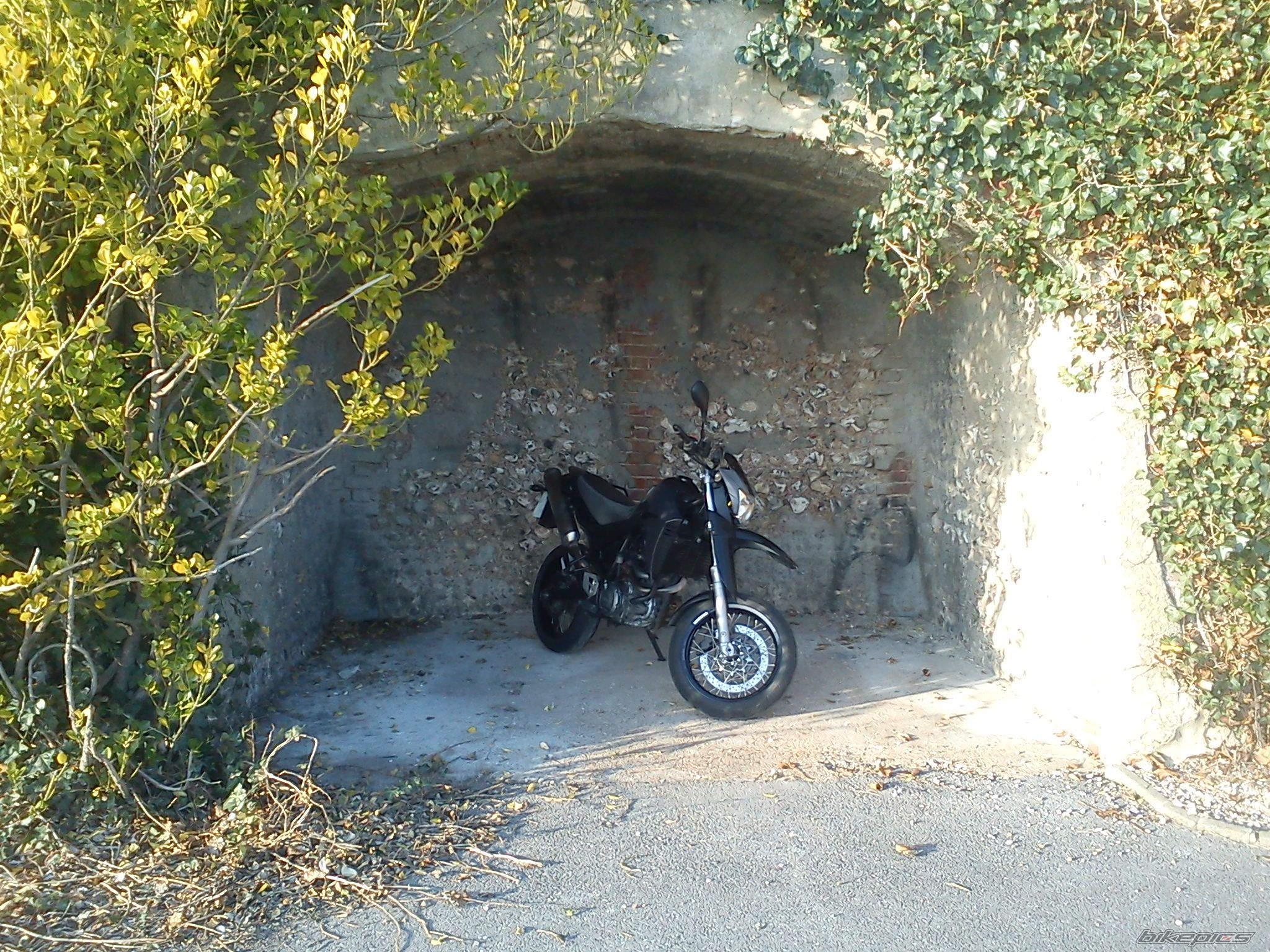 2004 YAMAHA XT 660X | Picture 2371381 motorcycle photo