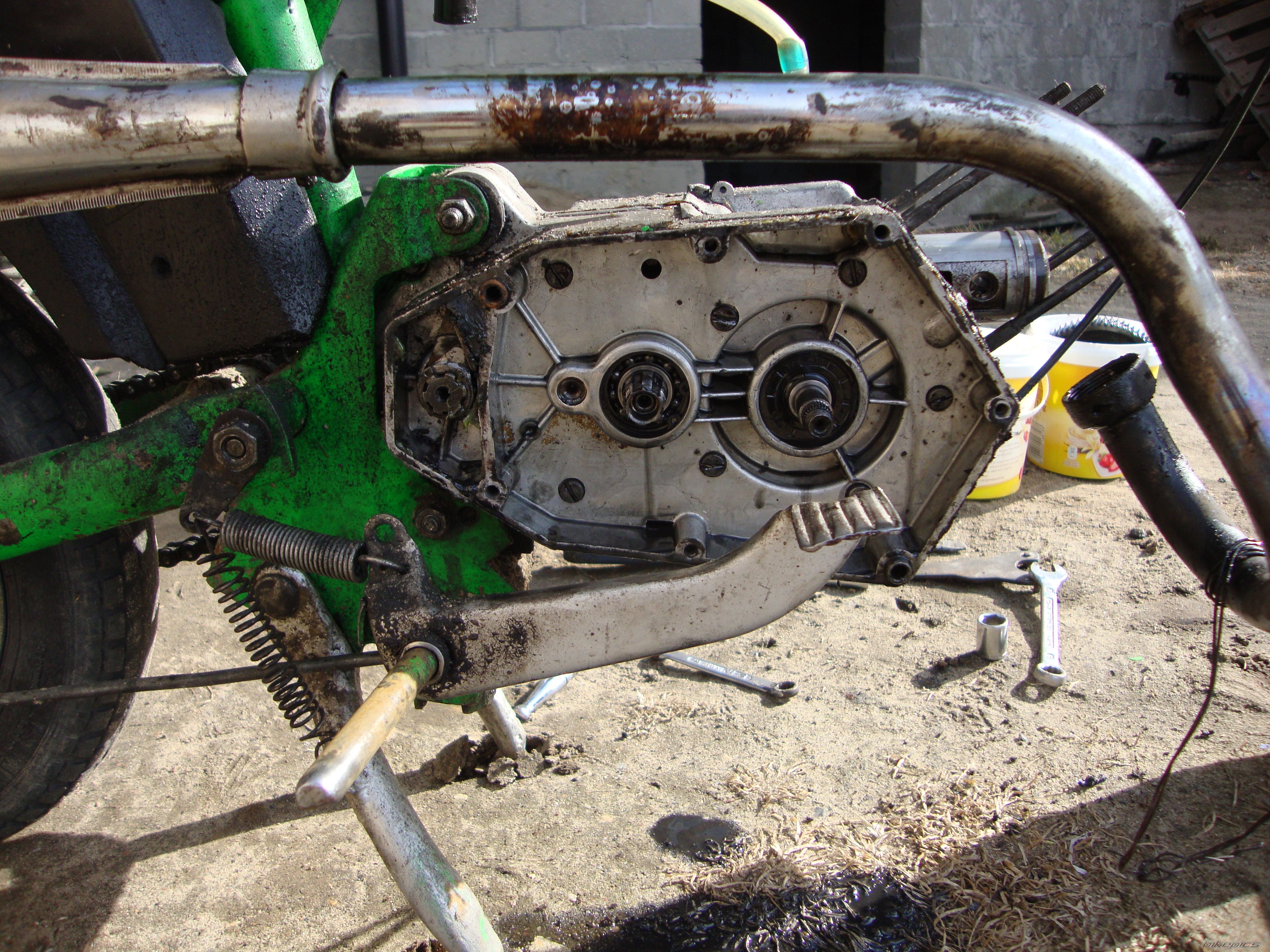 1981 ROMET PONY 50 | Picture 2371472 motorcycle photo
