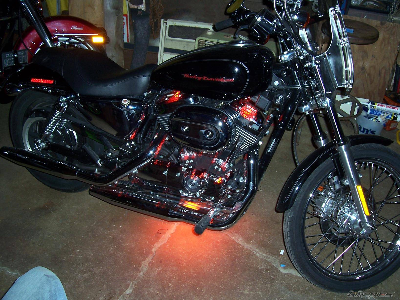 2005 HARLEY DAVIDSON XL 1200 C | Picture 237183 motorcycle photo