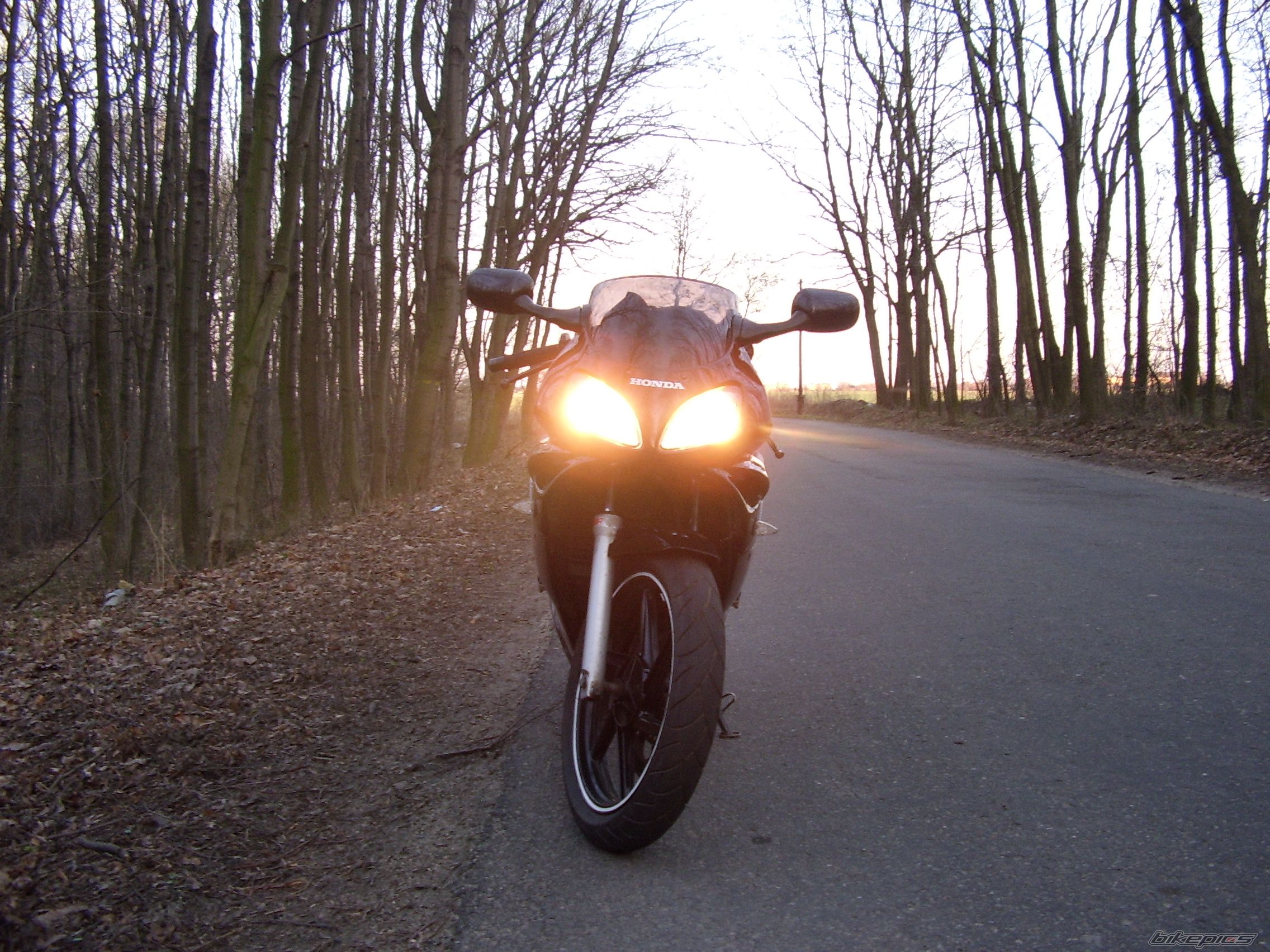 2002 HONDA NSR 125 | Picture 2371868 motorcycle photo