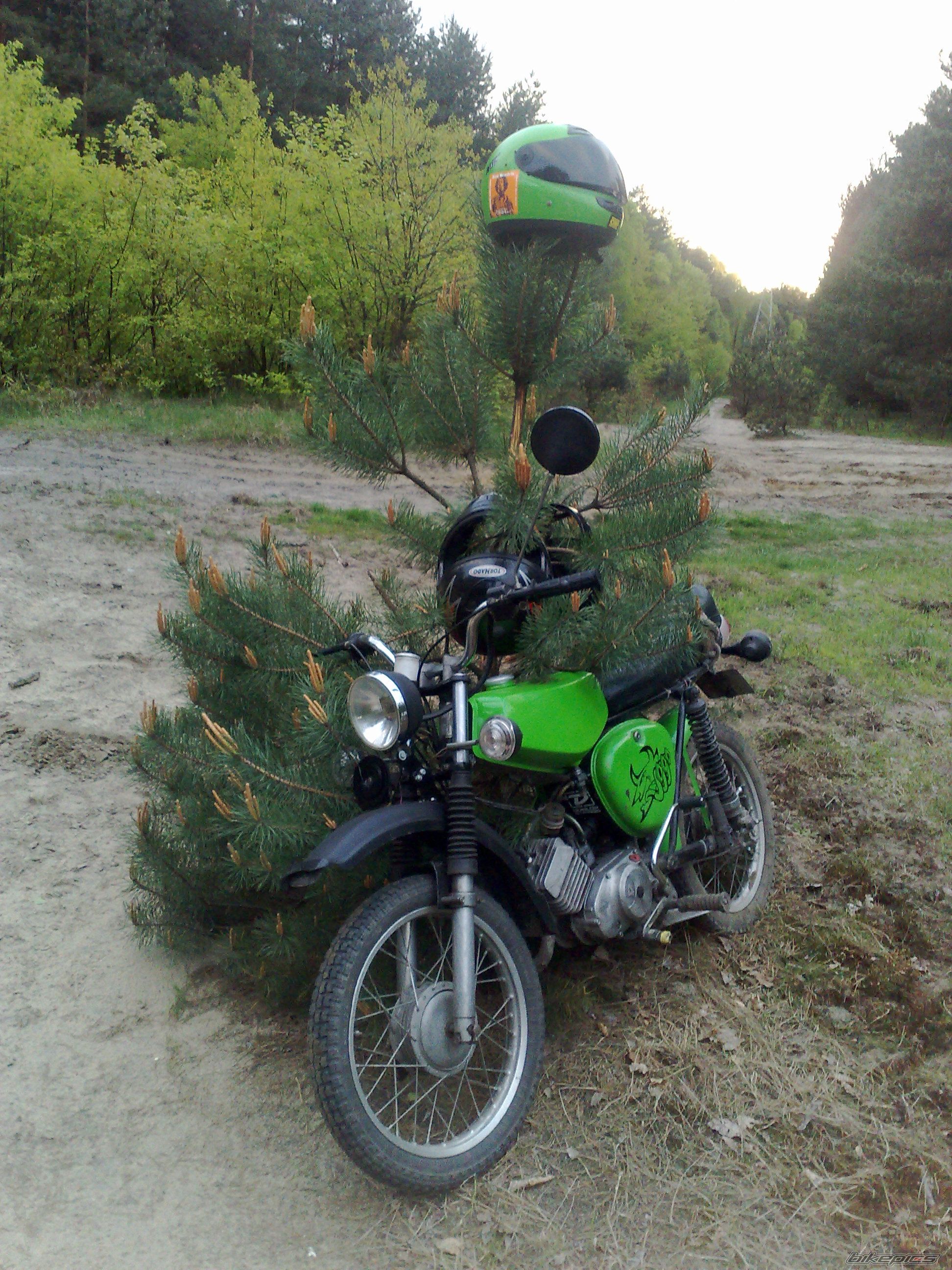 2010 SIMSON S 51 ELECTRONIC | Picture 2372706 motorcycle photo