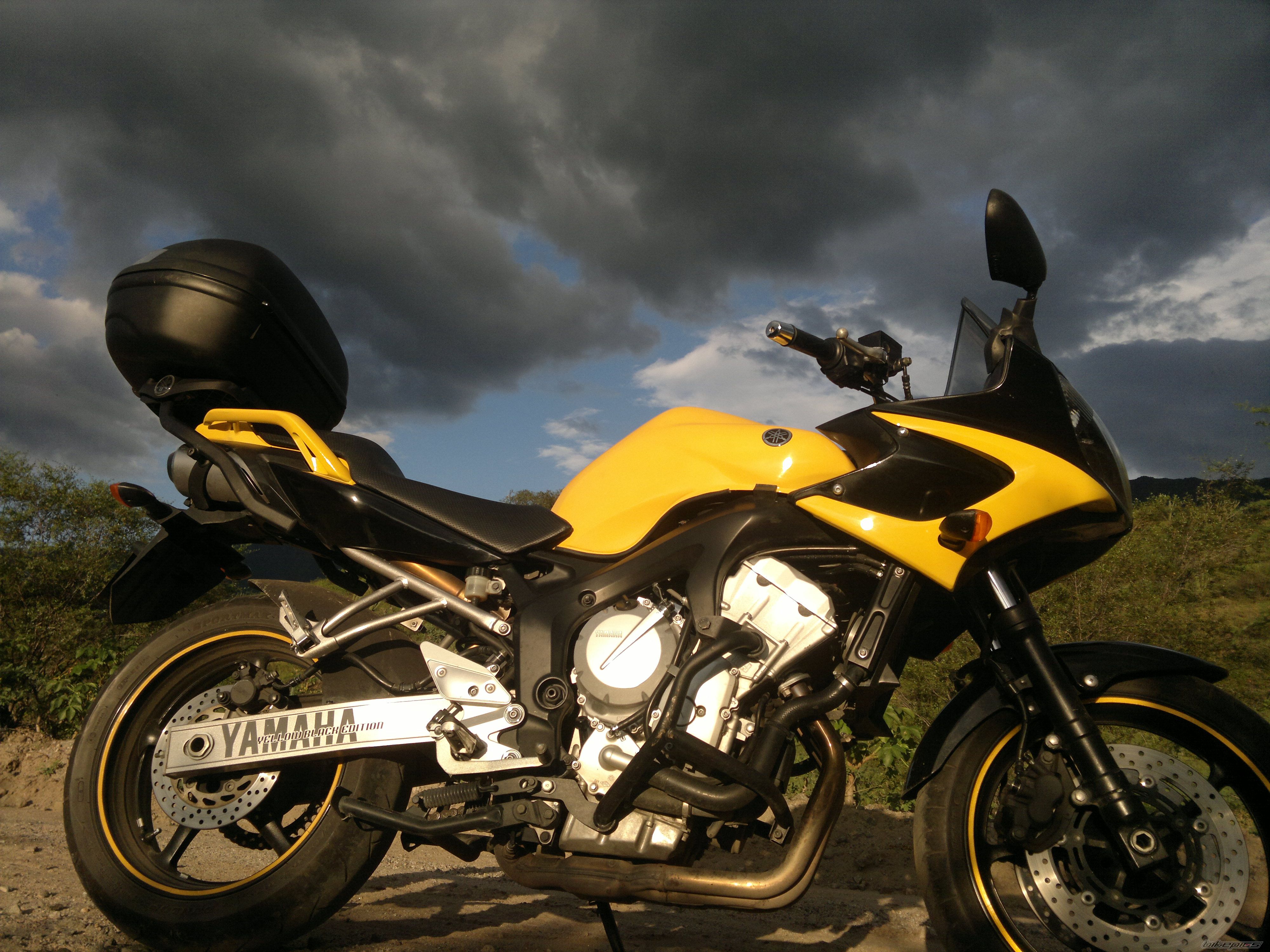 2009 YAMAHA FZ6 FAZER | Picture 2372708 motorcycle photo