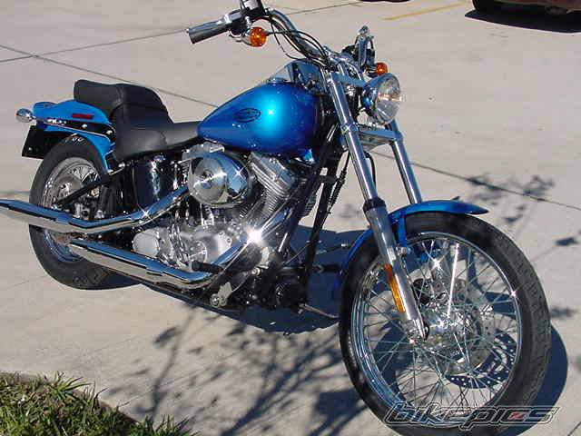 2004 HARLEY DAVIDSON FXST | Picture 237291 motorcycle photo
