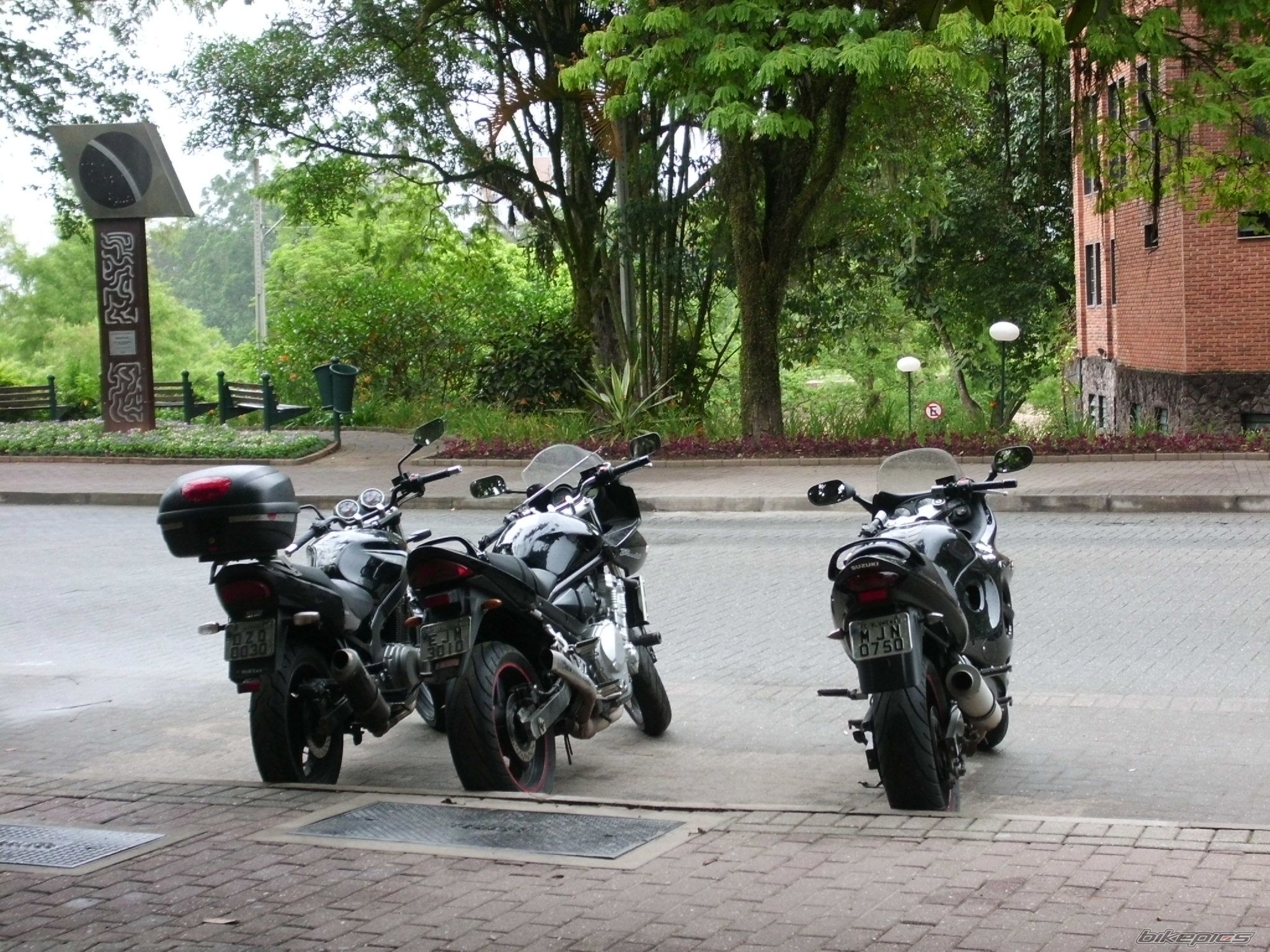 2008 SUZUKI GSF 650S BANDIT | Picture 2373048 motorcycle photo