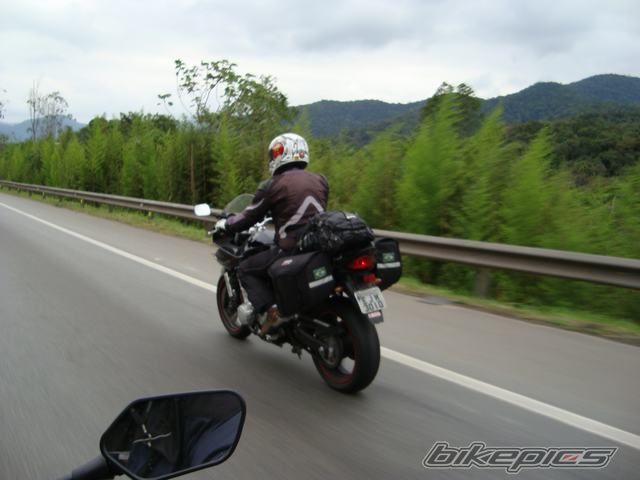 2008 SUZUKI GSF 650S BANDIT | Picture 2373049 motorcycle photo
