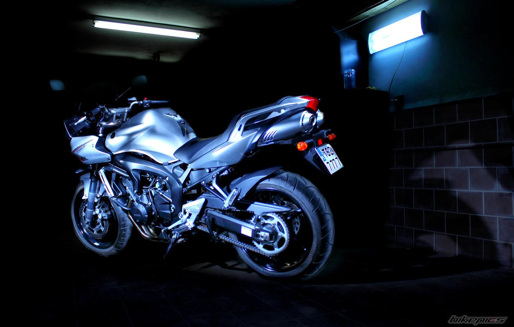 2009 YAMAHA FZ6 FAZER | Picture 2373069 motorcycle photo