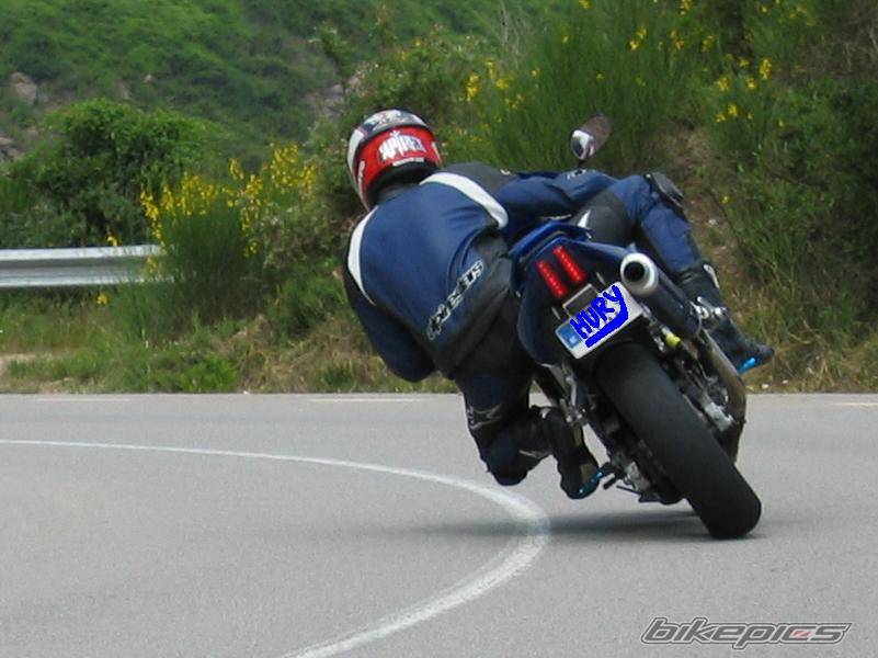 2003 SUZUKI SV 650S | Picture 237323 motorcycle photo
