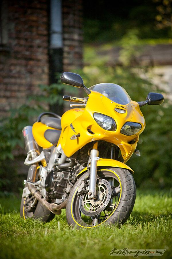 1999 SUZUKI SV 650S | Picture 2373321 motorcycle photo