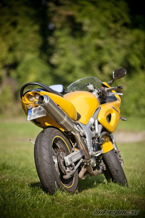 1999 SUZUKI SV 650S | Picture 2373322 motorcycle photo