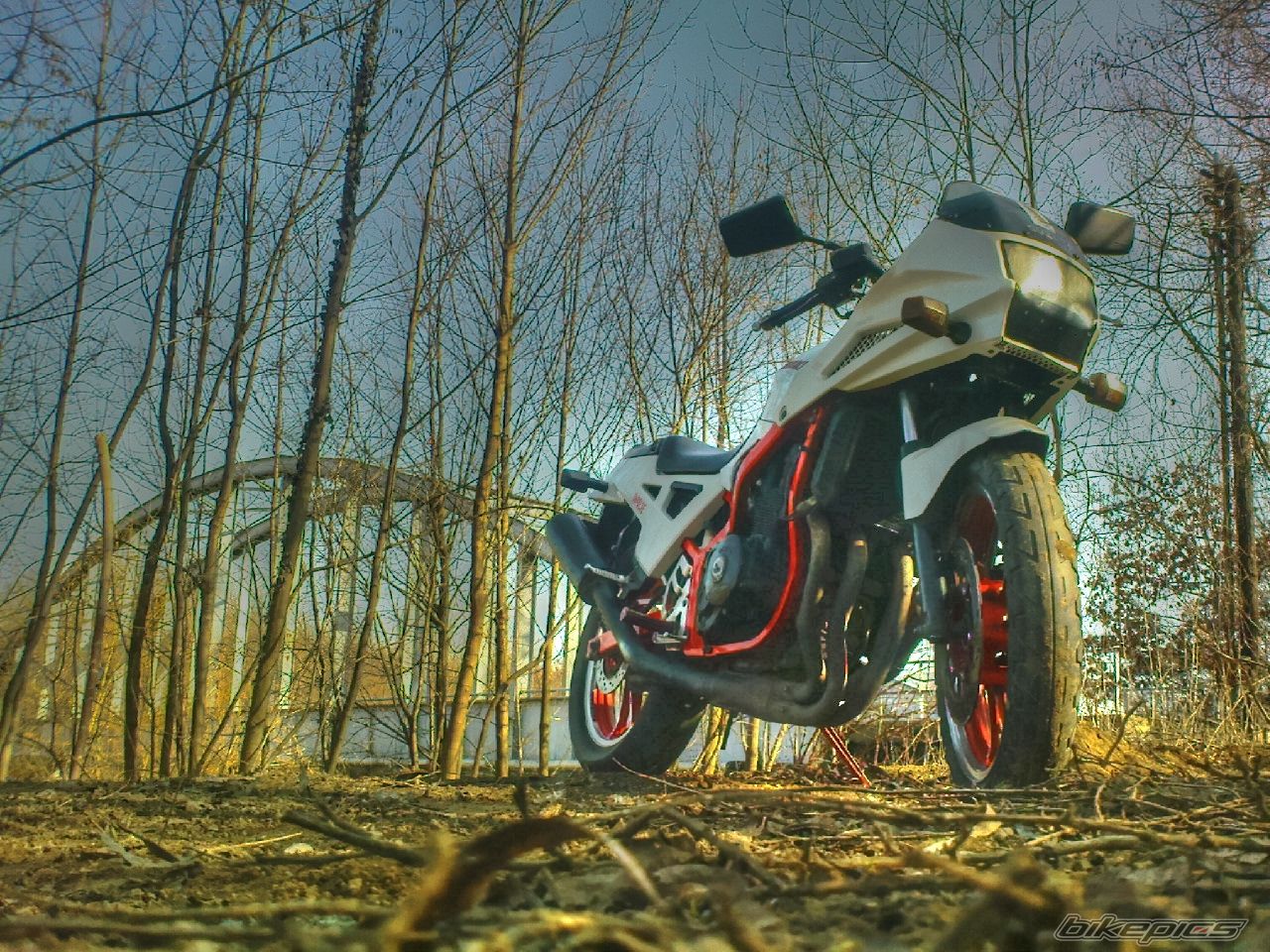 1986 SUZUKI GSX 400 X | Picture 2373392 motorcycle photo