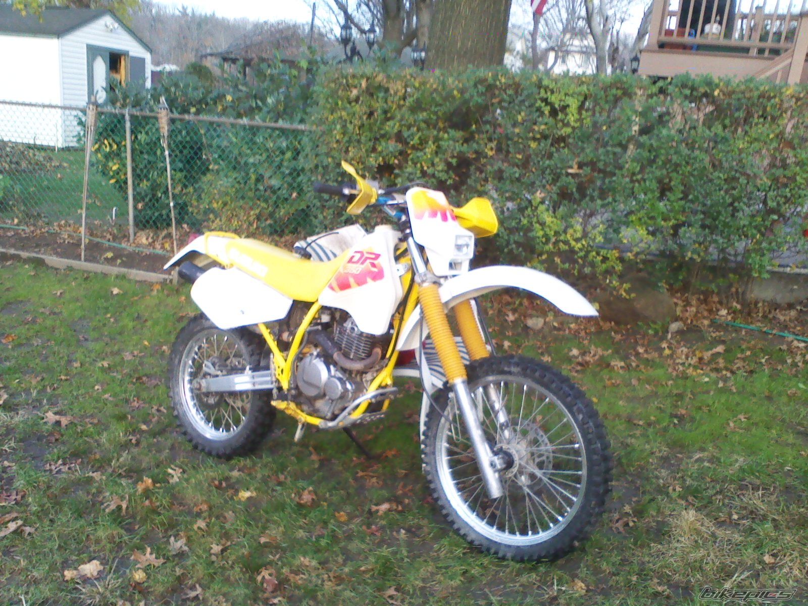 1991 SUZUKI DR 350 | Picture 2374316 motorcycle photo