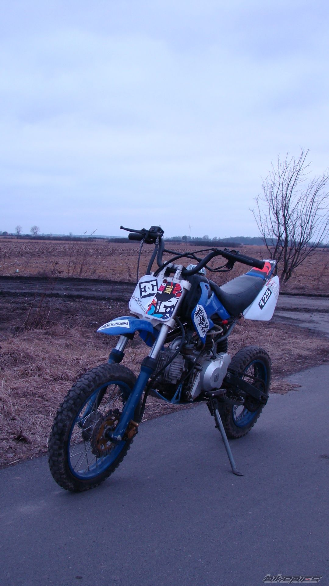 2009 DUCATI DESMOSEDICI RR | Picture 2374821 motorcycle photo