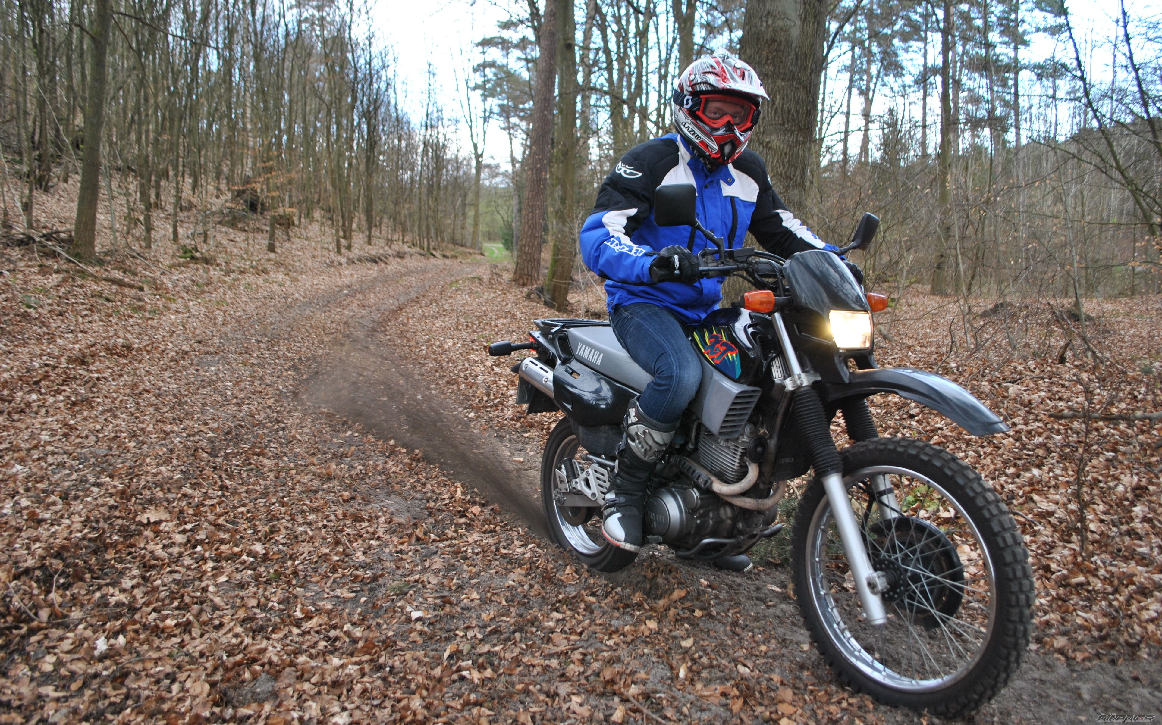 1996 YAMAHA XT 600 | Picture 2375356 motorcycle photo