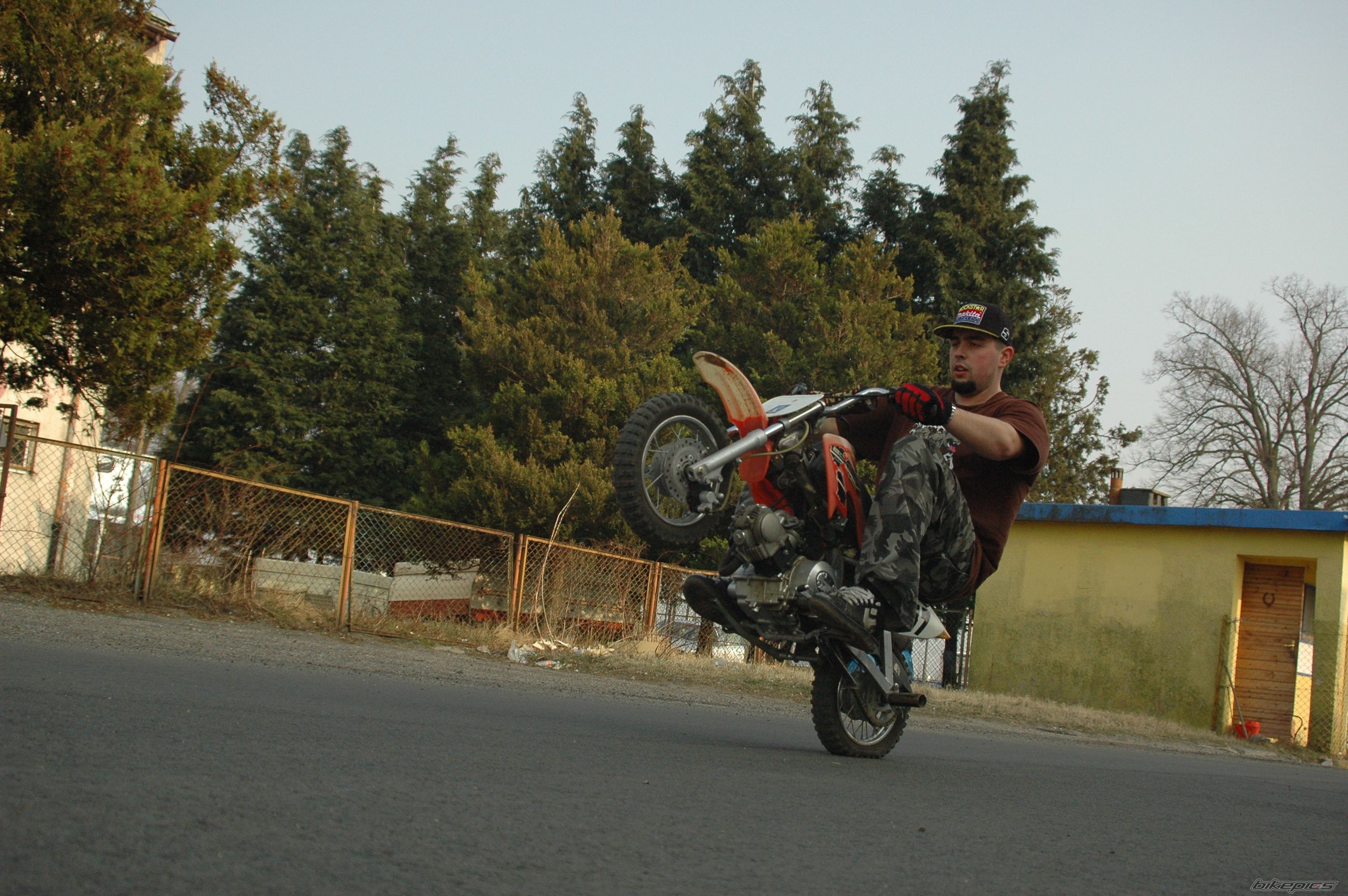 2006 HONDA CRF 50 | Picture 2375873 motorcycle photo