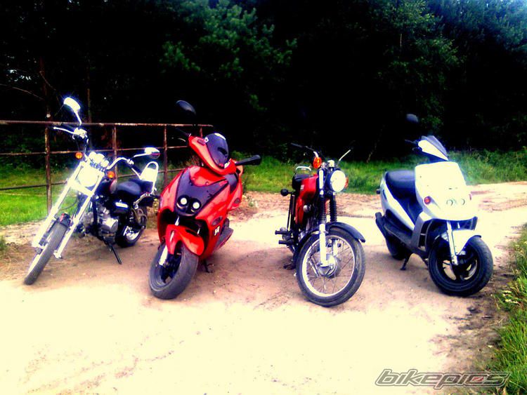 2000 MALAGUTI F 12 50 | Picture 2375894 motorcycle photo