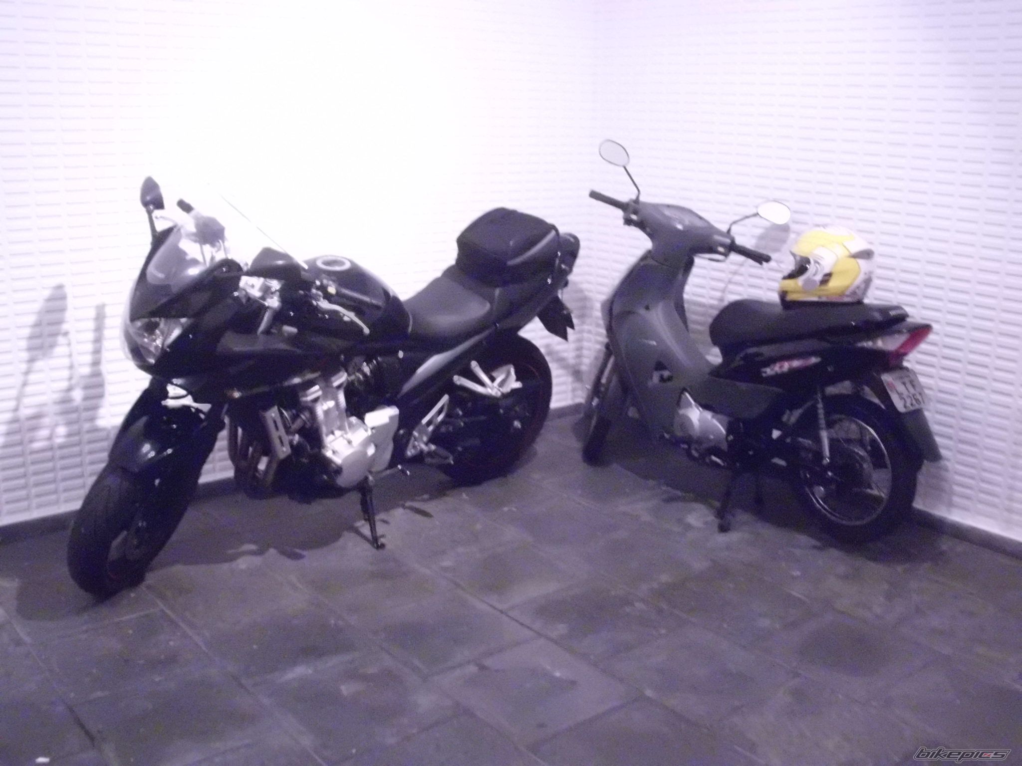 2008 SUZUKI GSF 650S BANDIT | Picture 2375999 motorcycle photo
