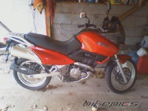 1999 SUZUKI XF 650 FREEWIND | Picture 2376054 motorcycle photo