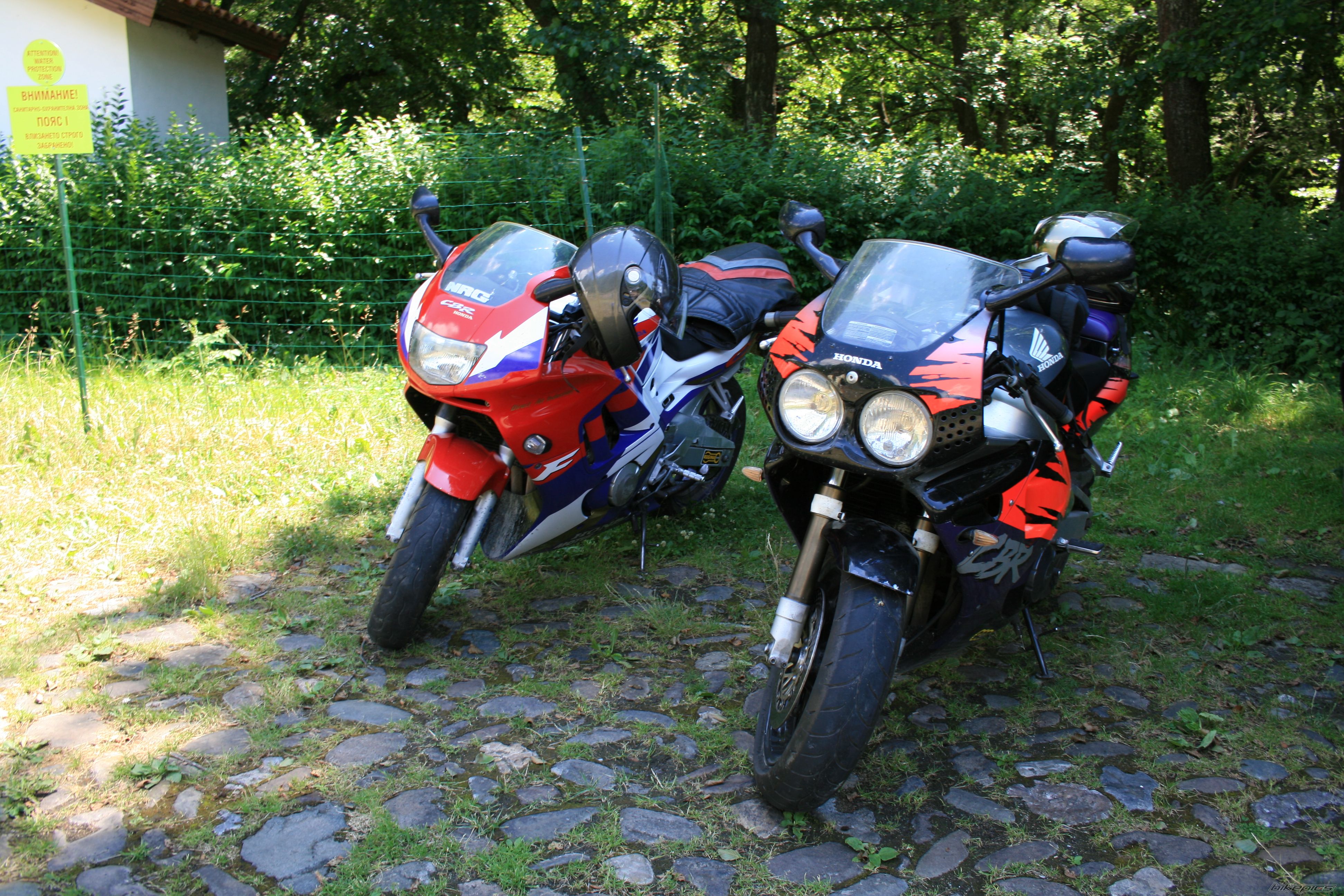 1993 HONDA CBR 900 | Picture 2377333 motorcycle photo