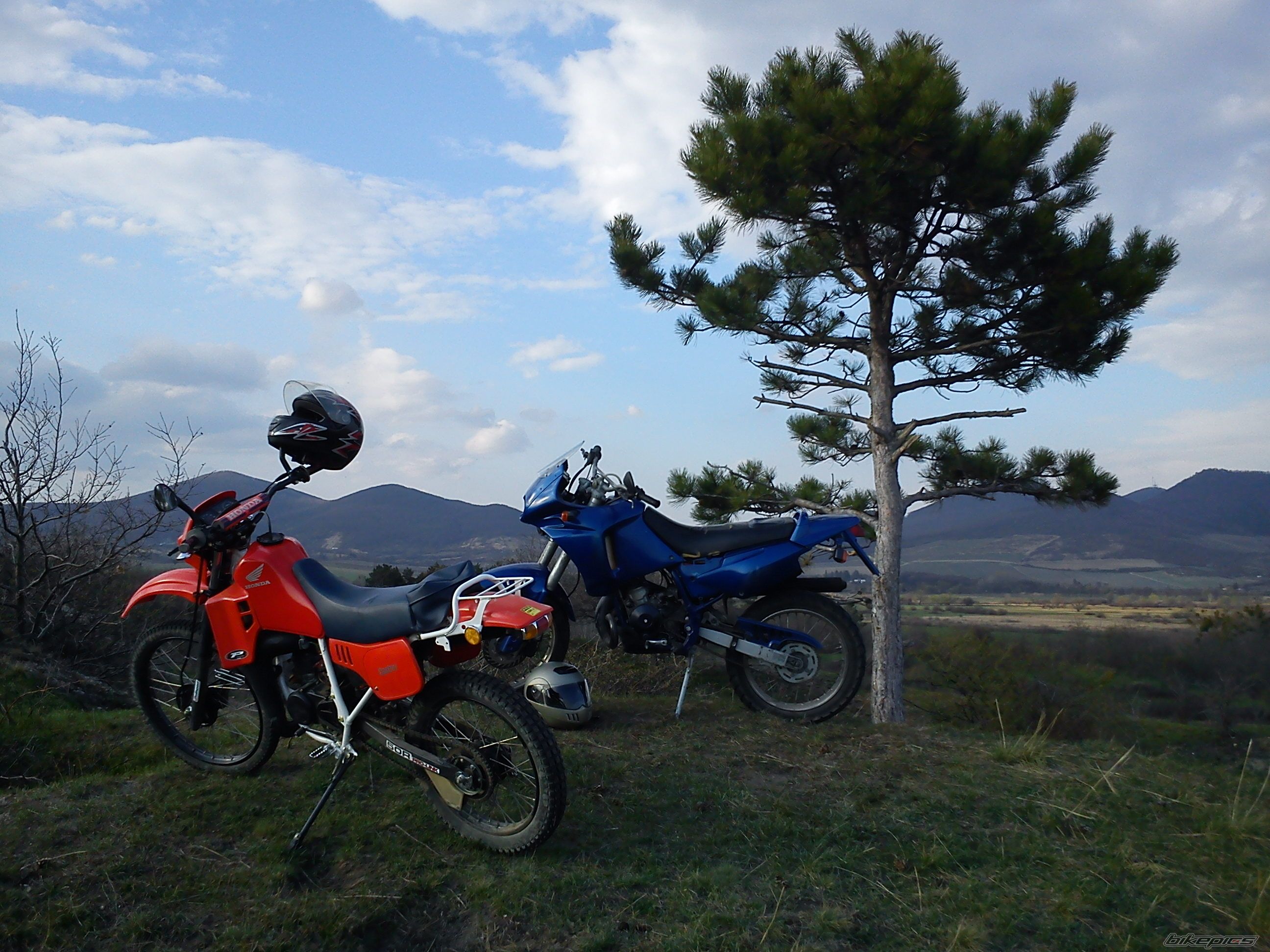 1994 APRILIA PEGASO 50 | Picture 2378109 motorcycle photo