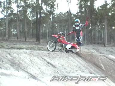 2002 HONDA XR 250 | Picture 237816 motorcycle photo